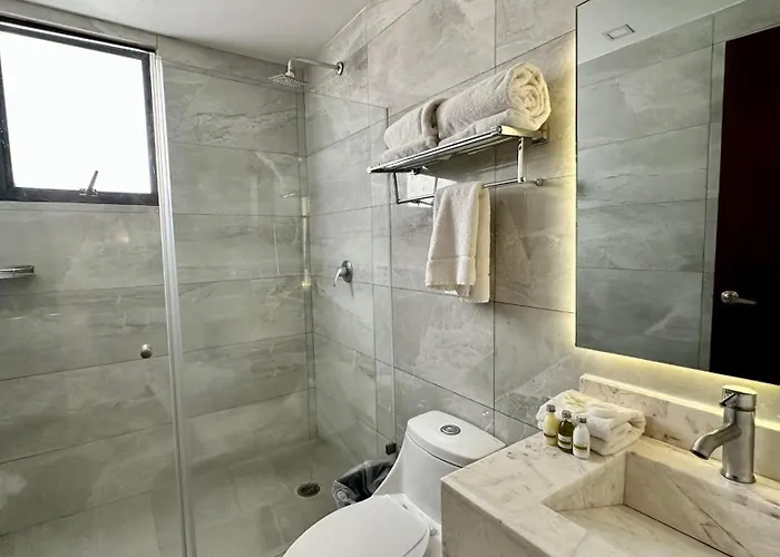 Lerma 205 Apartment Mexico City
